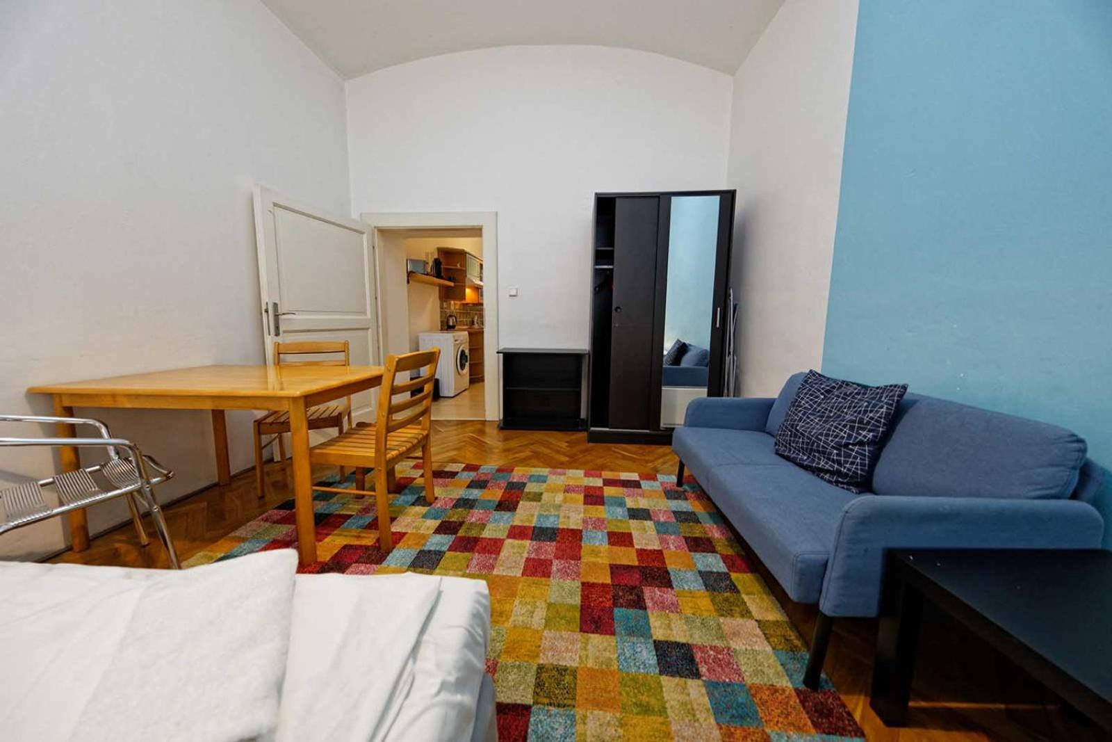 Apartamento Truhlarska 31 *